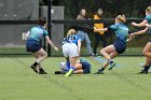 Women's Rugby vs Endicott  Wheaton Women's Rugby vs Endicott College.  Photo by Keith Nordstrom : Wheaton, Rugby, Endicott